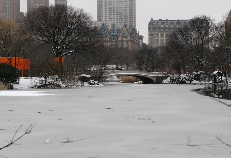 Bow Bridge in Central Park